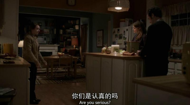 美国谍梦第四季