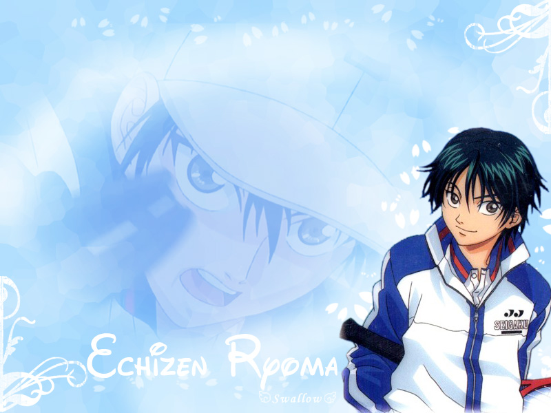  p>越前龙马,日本漫画《 a target="_blank" href="/item/网球王子