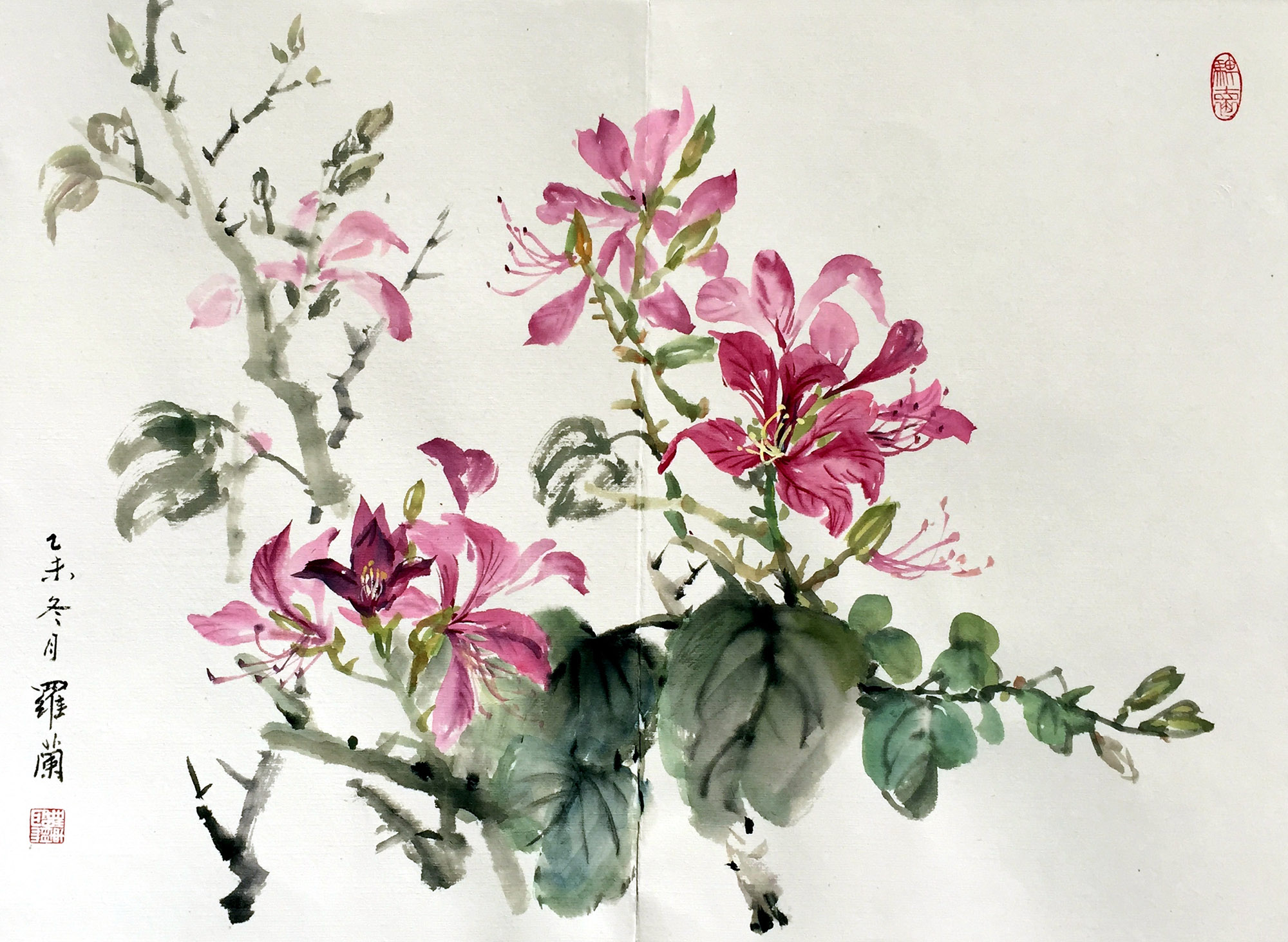 画家罗兰(画家罗兰姗本人照片),画家罗兰(画家罗兰姗本人照片),画家罗兰,第1张