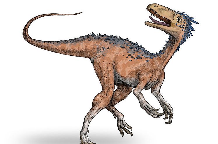  p>掘颌龙(属名:scaphognathus)是种 a href="#" data-lemmaid="