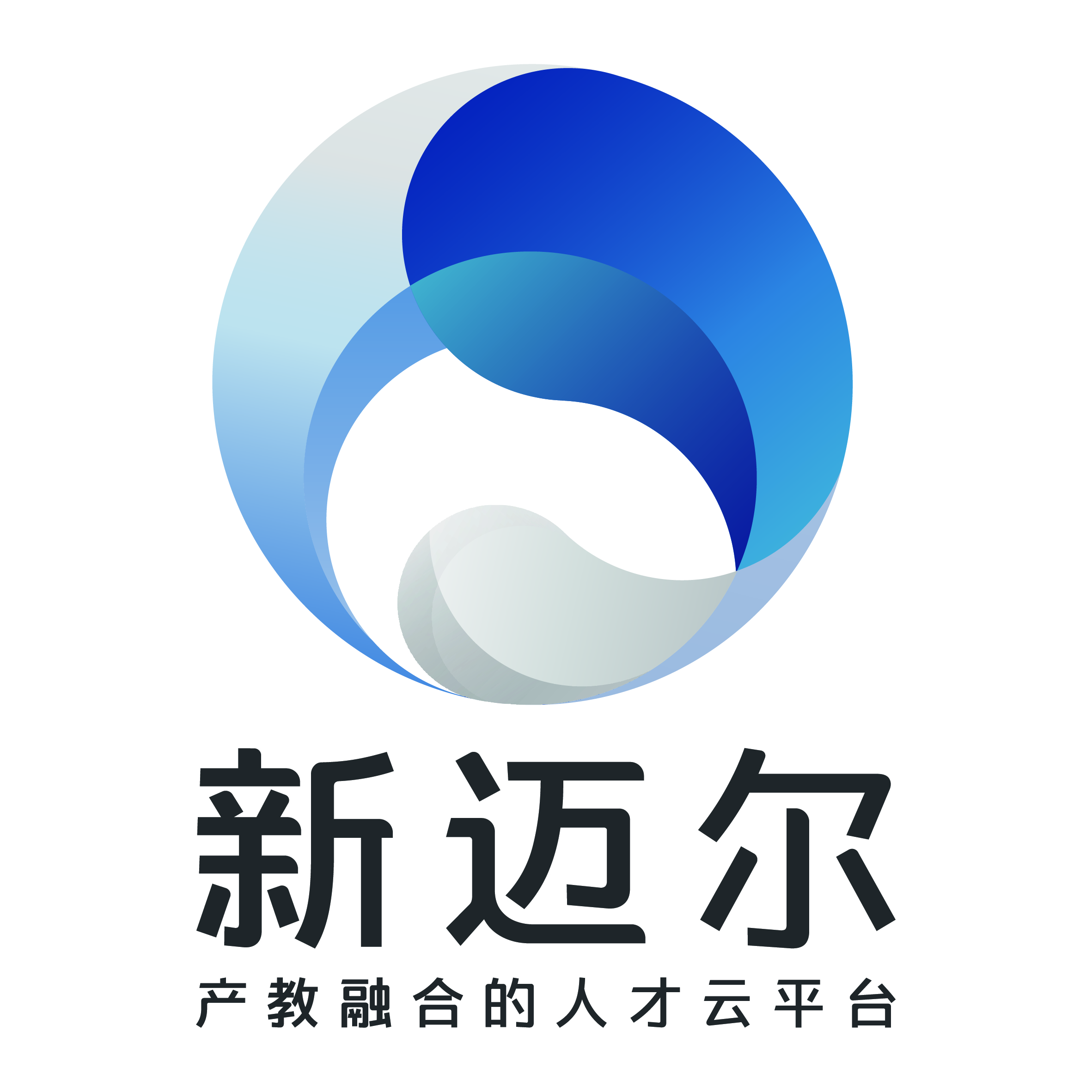 blank" href="/item/高新技术企业/3673778"