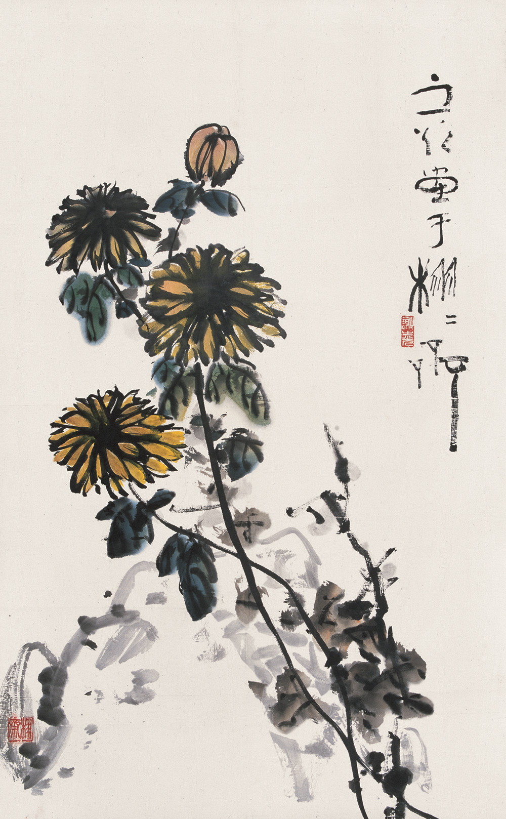 谢之光