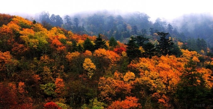 四川省马边大风顶国家级自然保护区
