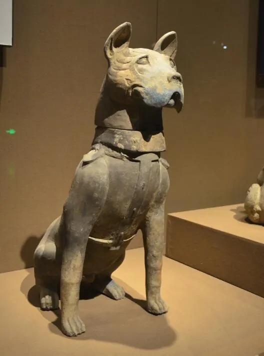 古代最残忍的刑罚手段“醢刑”，为何会让死囚不寒而栗_百科TA说