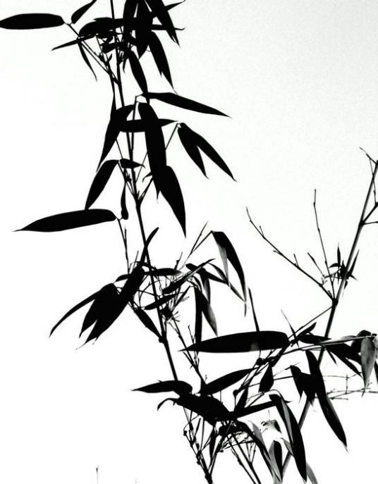 墨竹（墨画的竹子）_百度百科