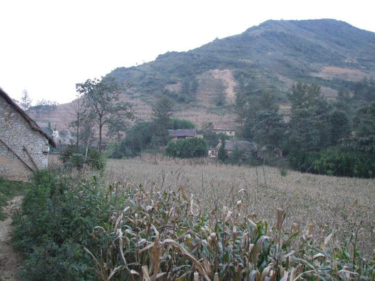  p data-id="gnf9akvr2a">红岩村是云南省昭通市镇雄县坪上镇下辖的一