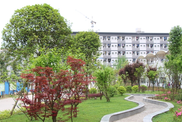 巴中市恩阳区恩阳中学