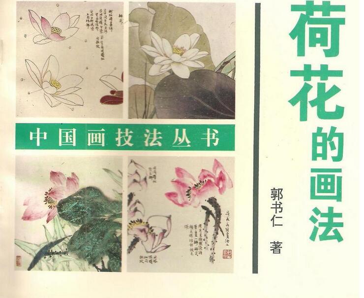荷花的画法