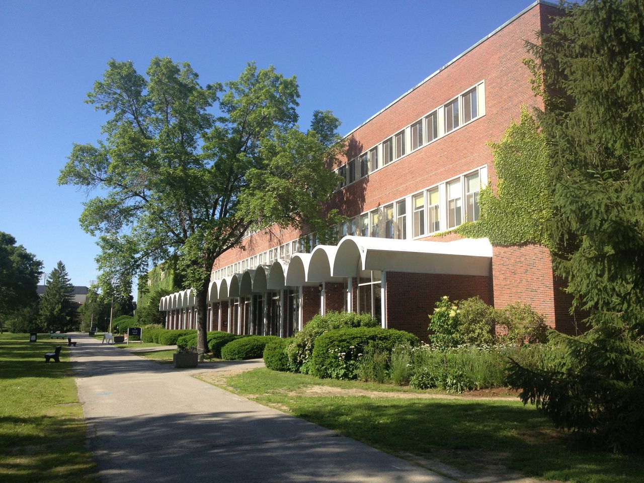 the university of maine