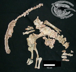 黑水龙(unaysaurus)