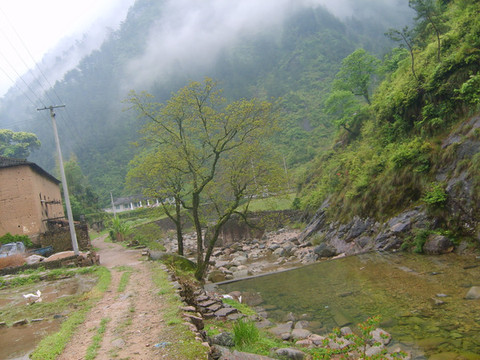  p>大源镇,隶属浙江省丽水市 a target="_blank" href="/item/缙云县