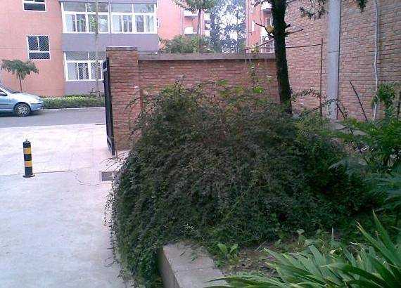  p data-id="gnwn9vwg5d">展春园小区紧邻北四环,交通便利,走路到