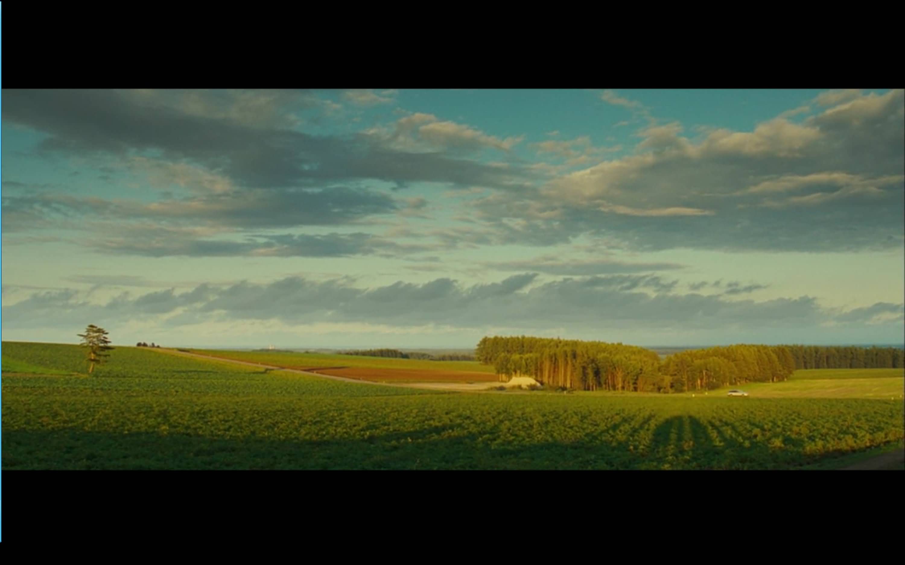  p>《非诚勿扰》是由 a target="_blank" href="/item/冯小刚/113653"