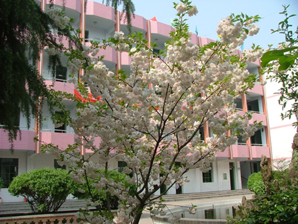 西乡县第二中学