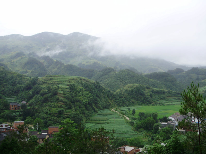 长坑天气马上知