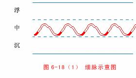 有的形容 a href="#" data-lemmaid="10853002">脉细 /a>如丝,但脉起