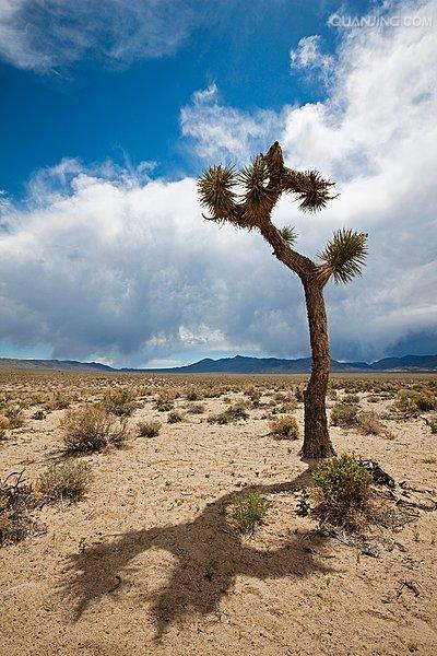  p>死亡谷国家公园(death valley national park)主要位于美国 a