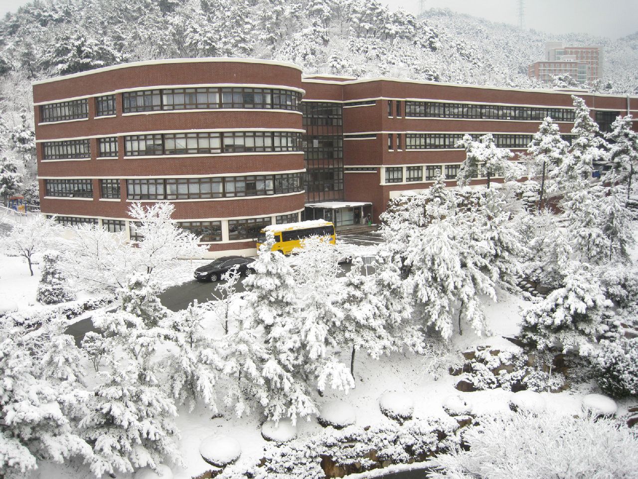 新罗大学