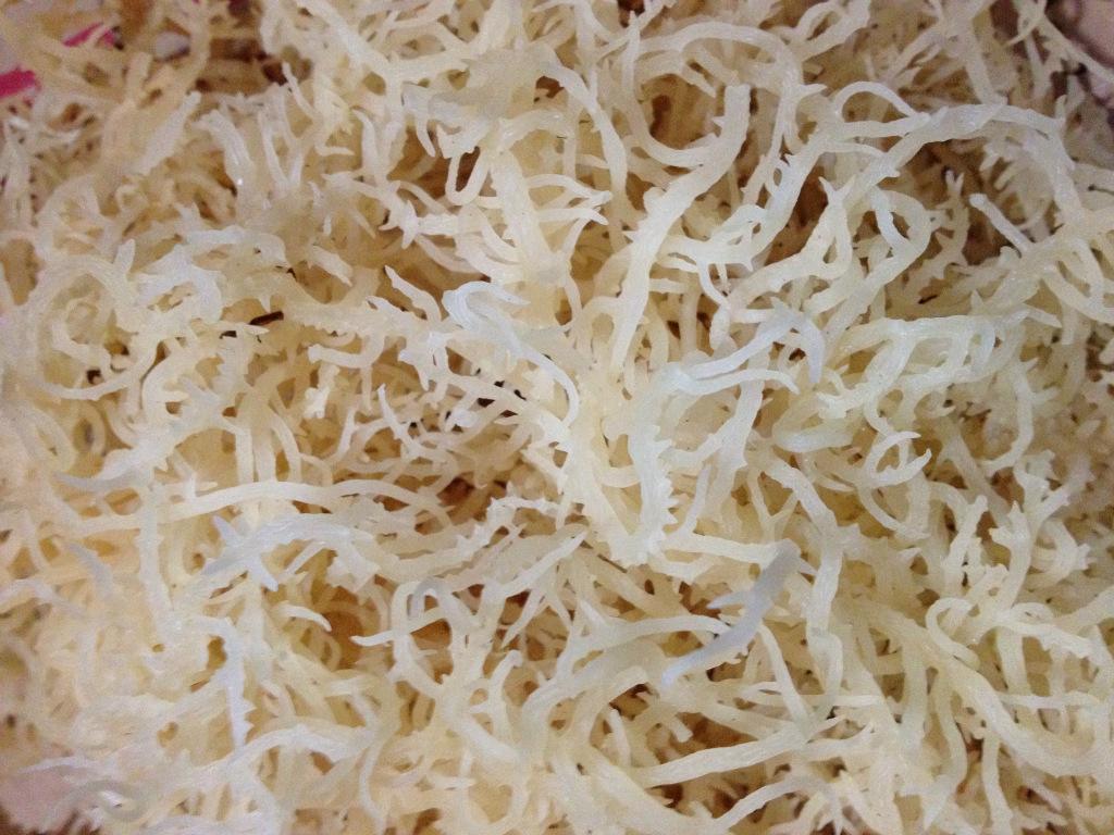  p data-id="gnbxcl5nwz">洋菜,亦称 a target