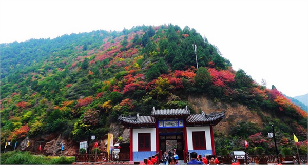 新兴县（广东省云浮市辖县）_百度百科