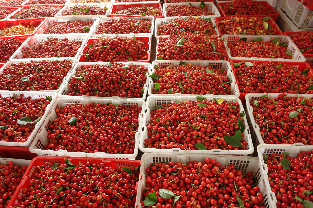 data-lemmaid="6861667">越西县 /a>特产,全国农产品地理标志