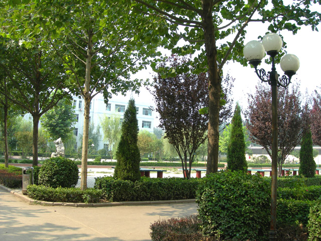  p>莘县实验高级中学,简称莘县实高,创建于1998年7月,位于聊城市莘县