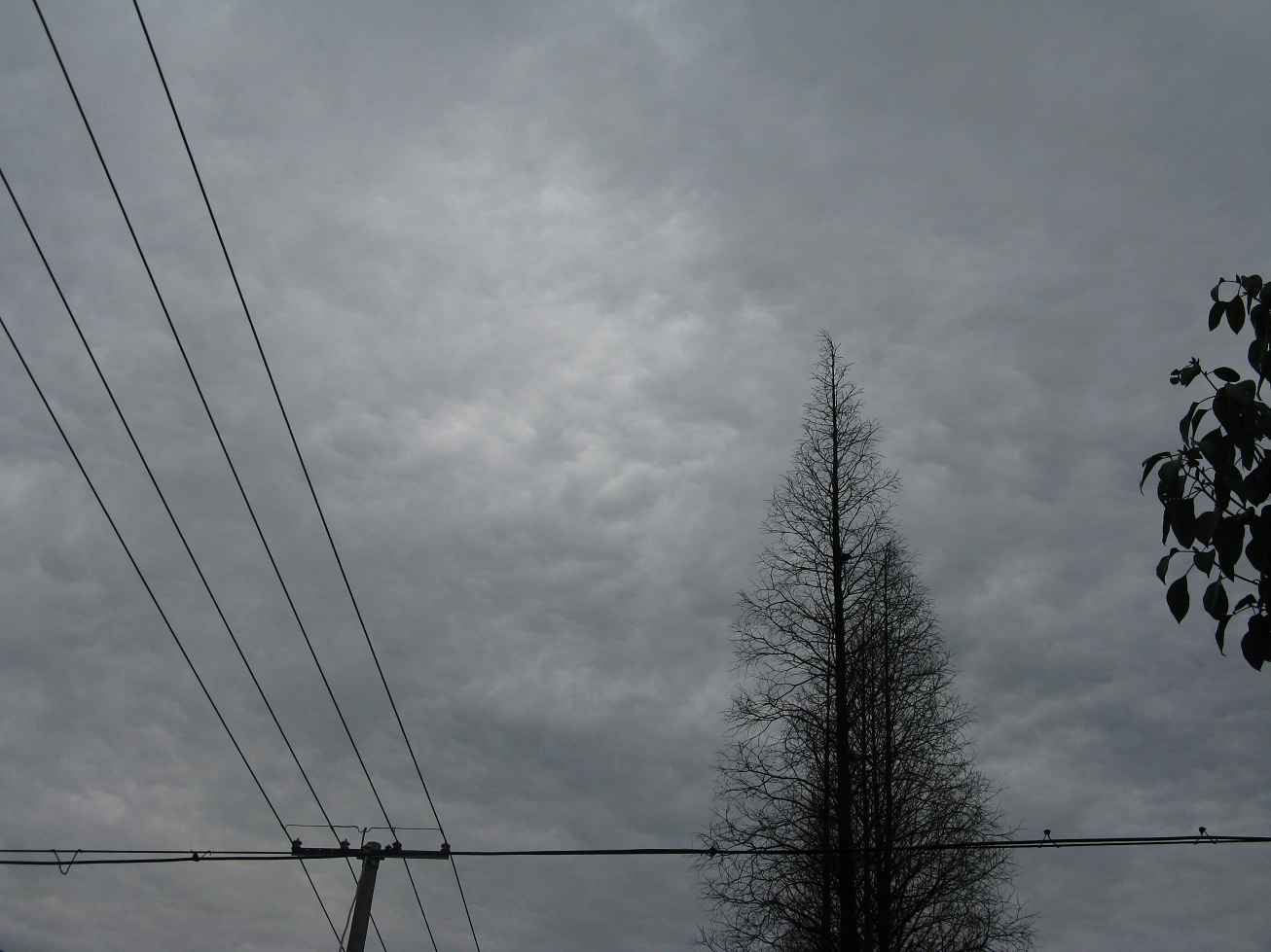  p>阴天(overcast):天空中,低云总云量在8/10及以上. /p>