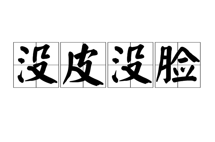没皮没脸
