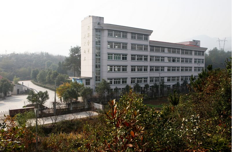 缙云东渡小学