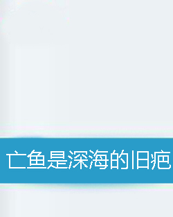 亡鱼是深海的疤