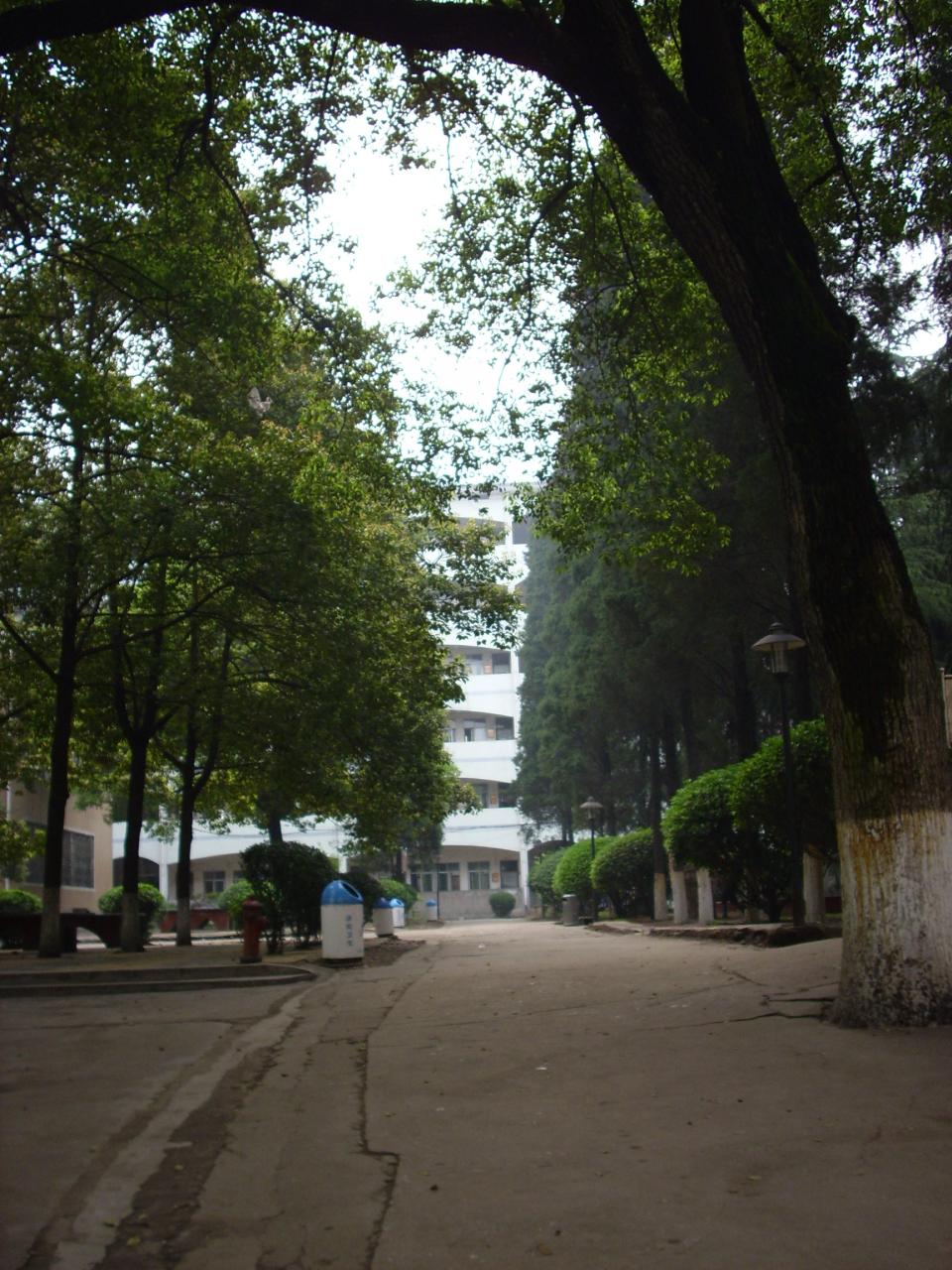  p>冷水江市第一中学创办于1956年8月,是娄底市首批示范性高级中学.