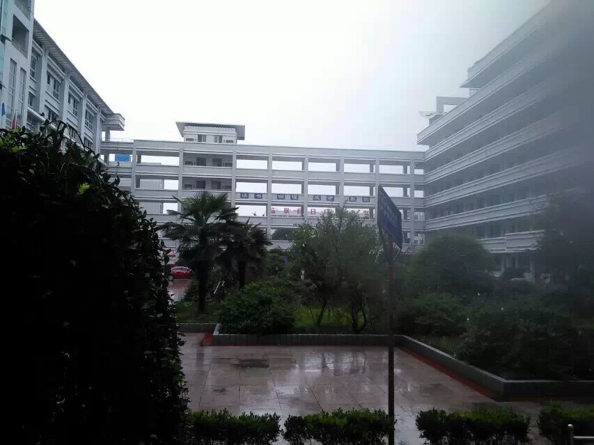  p>临泉二中始建于1939年,原名泉滨中学,经过一个曲折而辉煌的发展