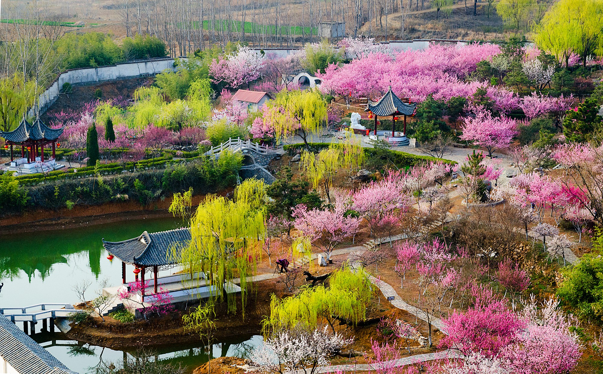  p>雪山梅园坐落在山东省沂水县雪山风景区,占地面积50余亩.
