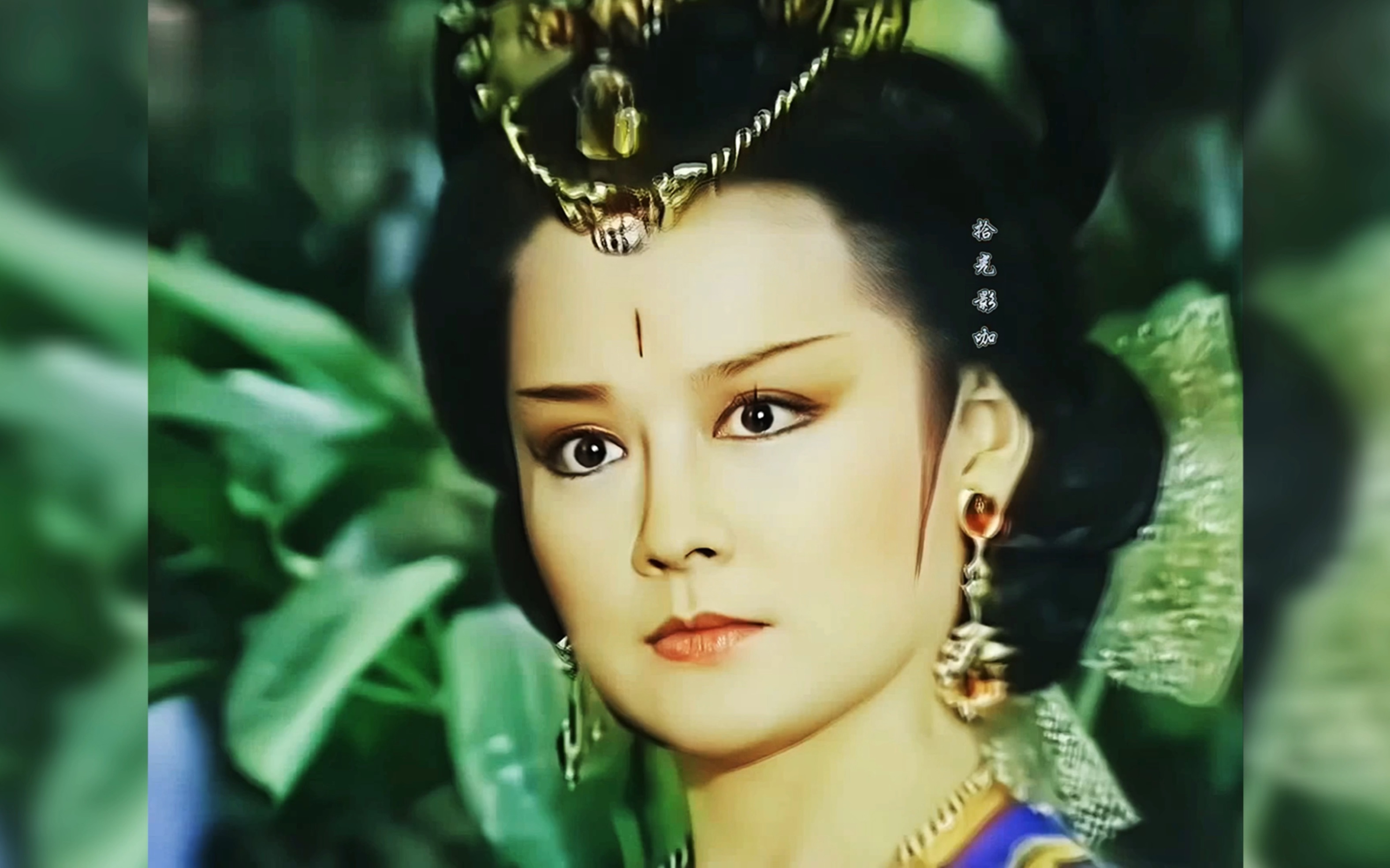 潘迎紫