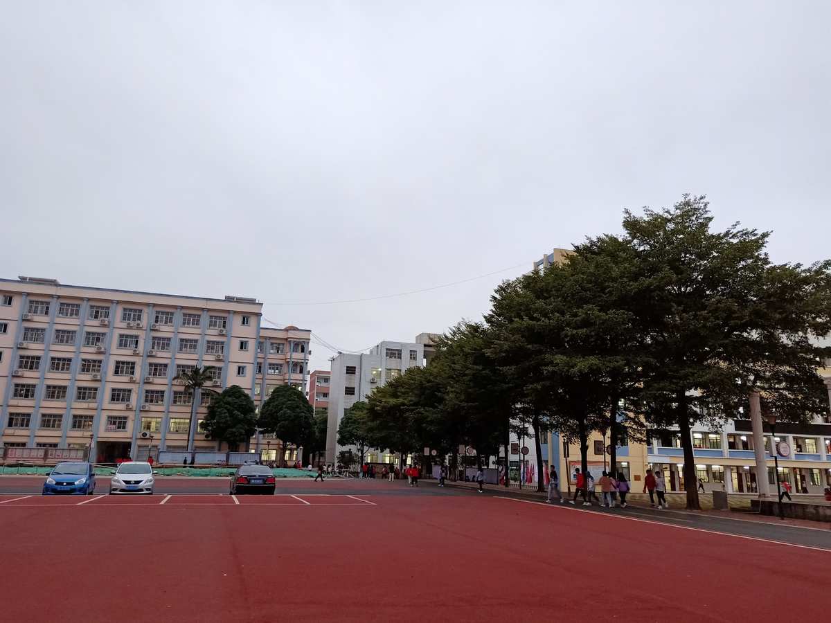 平果高级中学