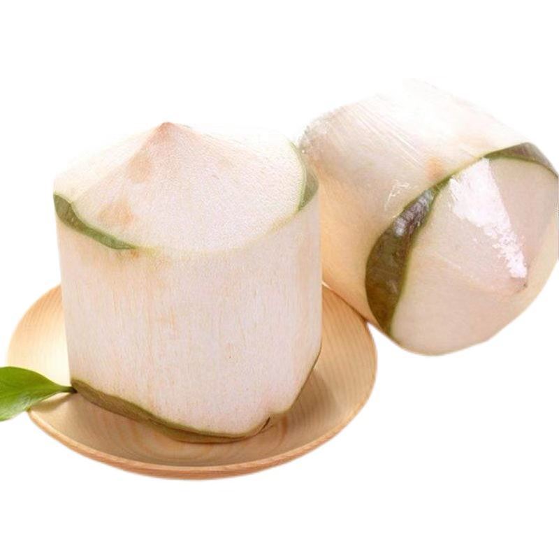  p data-id="go00mvlyi5">椰青也称青椰子,比起 a target="_blank"