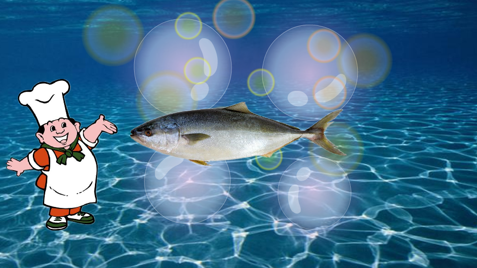 吞拿鱼:大洋暖水性洄游鱼类