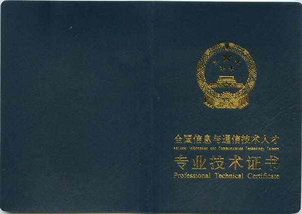 全过程工程咨询师