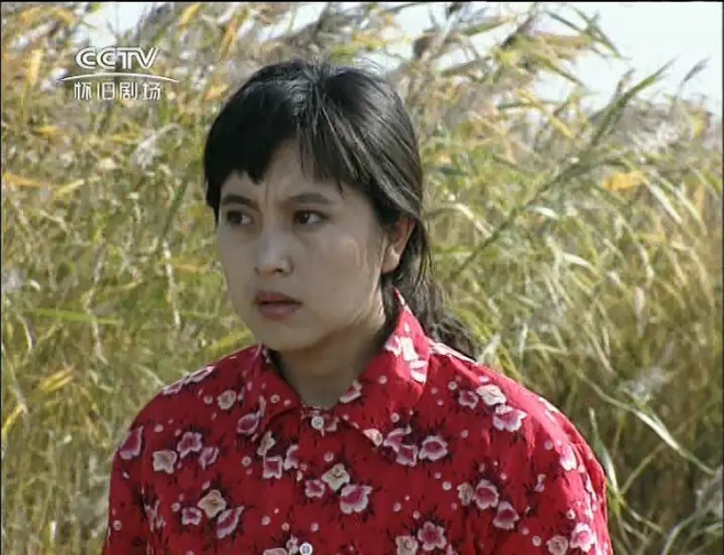  p>《古船·女人和网》是于1993年首播的爱情电视剧,由吴珊,张扬导,由