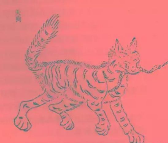 在日本,天狗是怎样的存在?_百科TA说