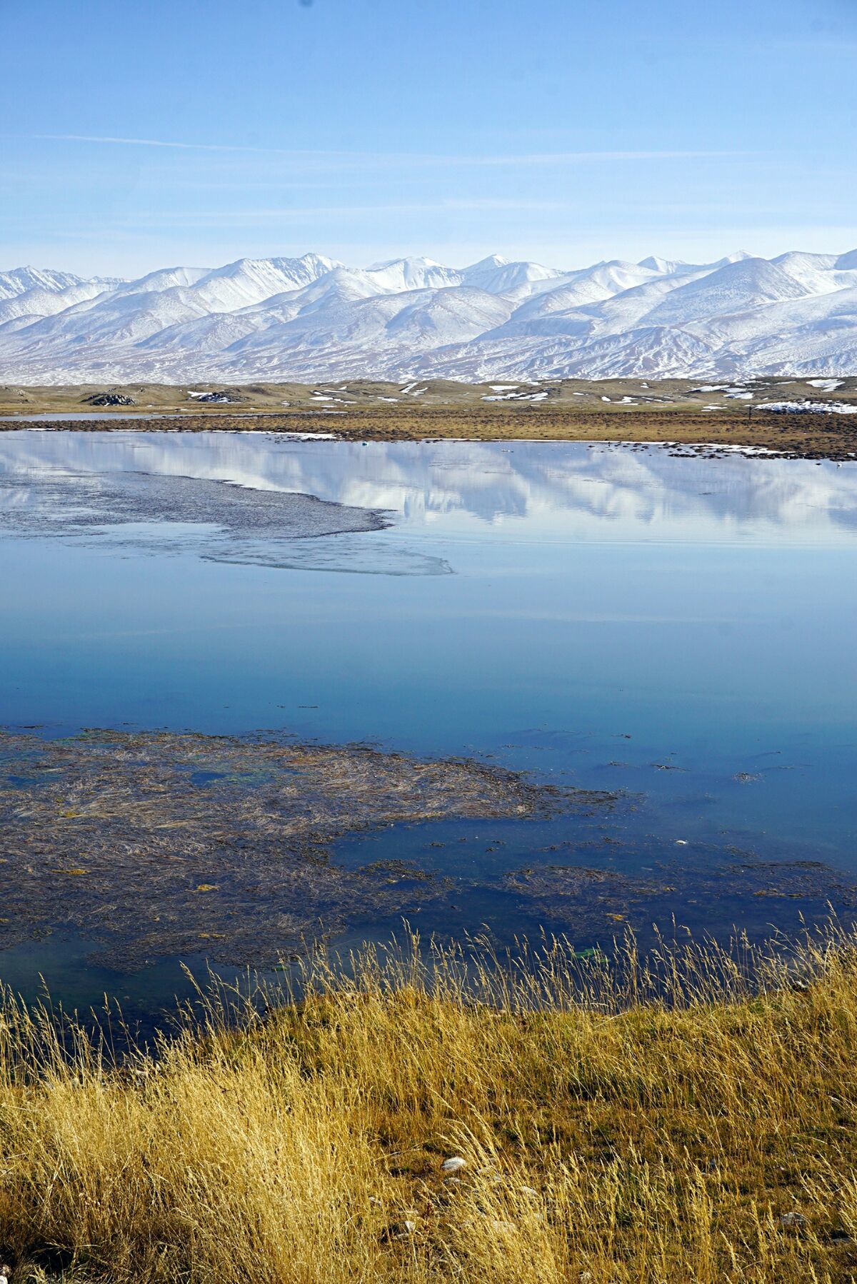巴音郭楞蒙古自治州巴音布鲁克景区