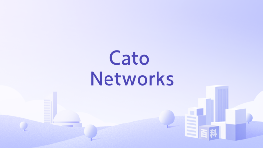 Cato Networks_百度百科