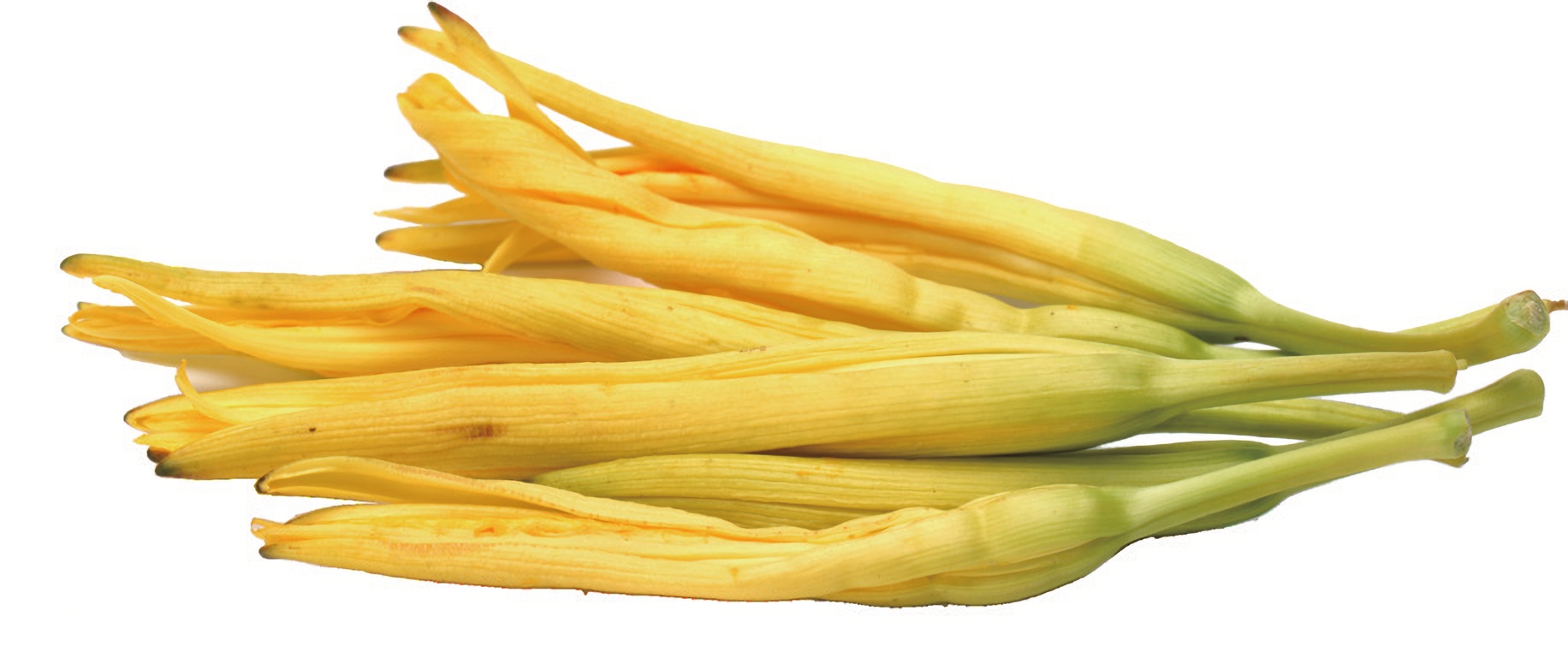金针菜