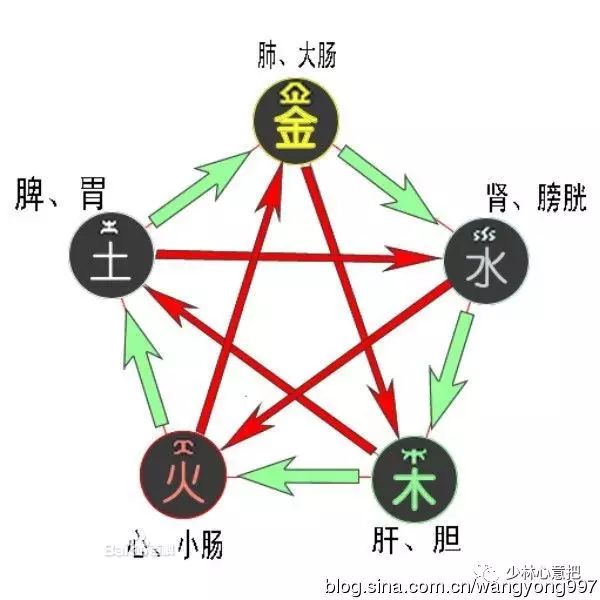 闻道国学：从五行、五体、五质、五常去认识人的素质_百科TA说