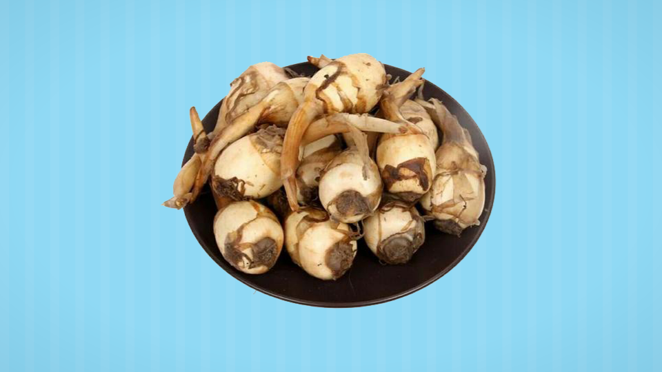 白肉慈姑:又名白地栗等