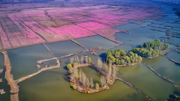 安徽阜南王家坝国家湿地公园