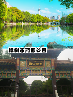 樟树市_百度百科