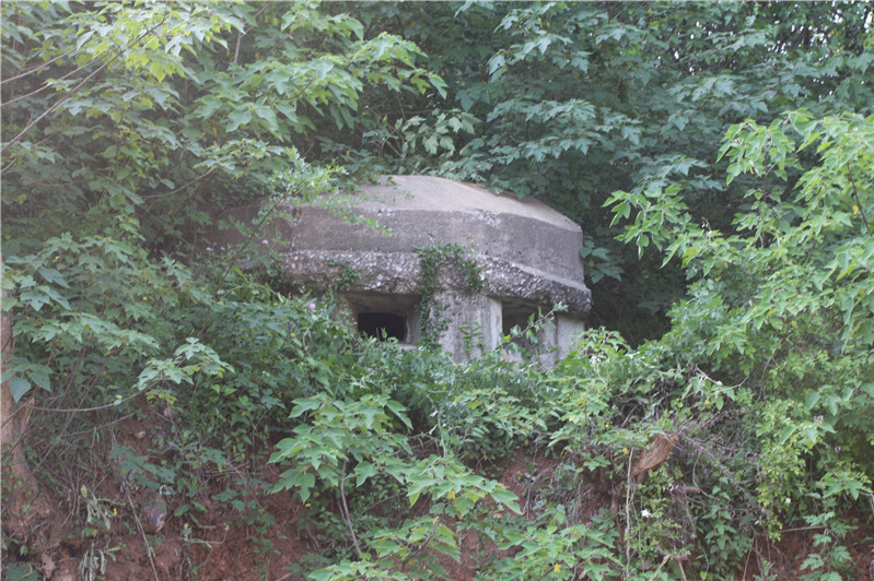  p>青山军事碉堡群位于仪征市青山镇龙山,陡山山坡,江边堤岸之上. /p>