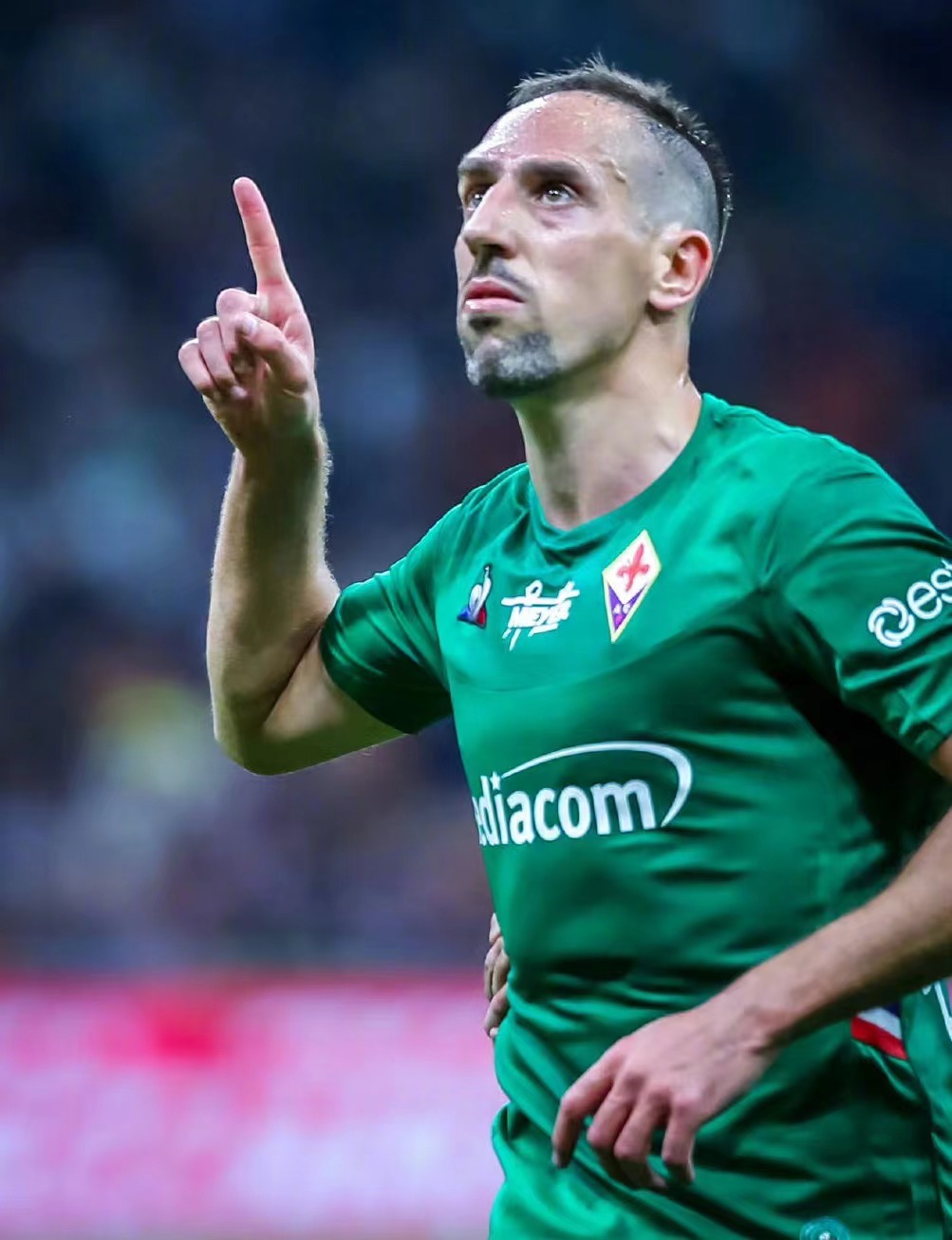 弗兰克·里贝里