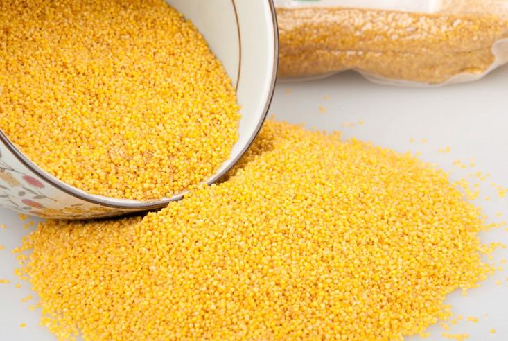  p data-id="gnx2n2a6bx">粟米,原意泛指粮食,也指小米,稞子,黏米.